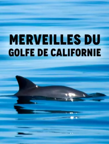 Merveilles du golfe de Californie