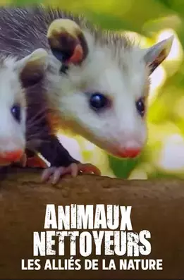 Animaux nettoyeurs Les alliés de la nature