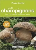 Les champignons Les reconnaitre et les trouver  [Livres]