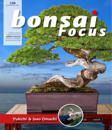 Bonsai Focus N°126 – Novembre-Décembre 2022  [Magazines]