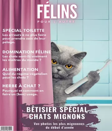 Félins Pour L’autre N°10 – Avril 2022  [Magazines]