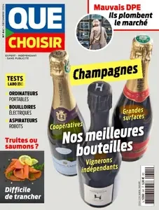 Que Choisir - Décembre 2024  [Magazines]