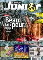 Science & Vie Junior - Juillet 2017  [Magazines]