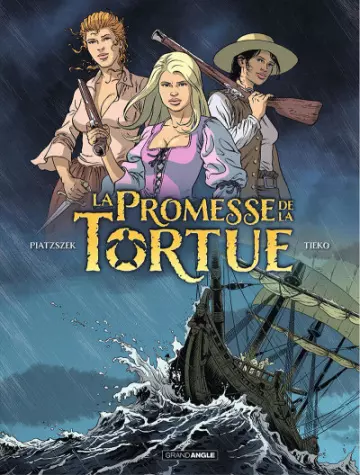 La promesse de la tortue Tomes 1 à 3  [BD]