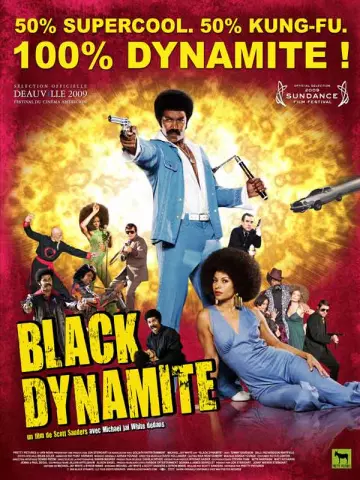 Black Dynamite  [HDLIGHT 1080p] - VOSTFR