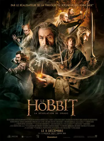 Le Hobbit : la Désolation de Smaug  [HDLIGHT 1080p] - MULTI (TRUEFRENCH)