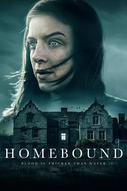 Homebound  [WEB-DL 1080p] - MULTI (FRENCH)