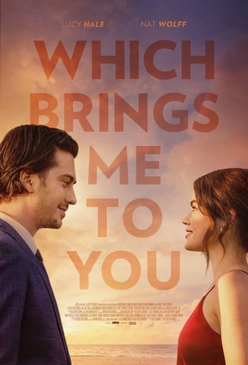 Which Brings Me to You  [HDRIP] - FRENCH