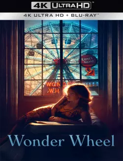 Wonder Wheel  [WEB-DL 4K] - MULTI (FRENCH)