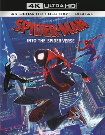 Spider-Man : New Generation  [BLURAY REMUX 4K] - MULTI (FRENCH)