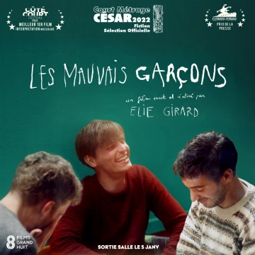 Les Mauvais garçons  [HDRIP] - FRENCH