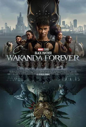 Black Panther : Wakanda Forever  [BDRIP] - TRUEFRENCH