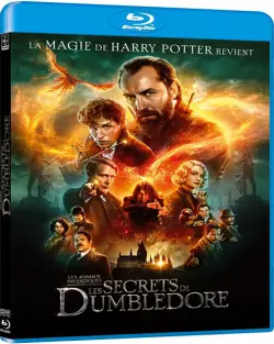 Les Animaux Fantastiques : les Secrets de Dumbledore [BLU-RAY 1080p] - MULTI (TRUEFRENCH)