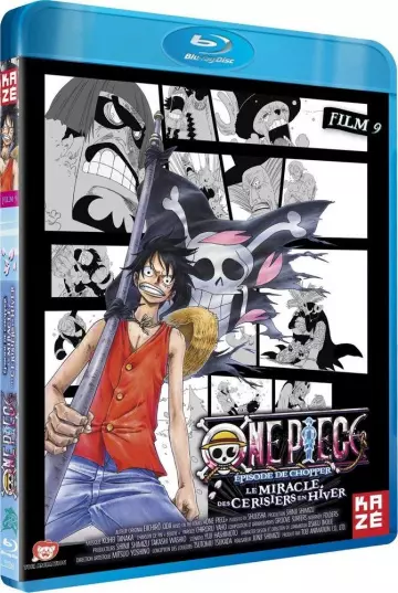 One Piece - Film 9 : Episode de Chopper : Le miracle des Cerisiers en Hiver  [BLU-RAY 720p] - VOSTFR