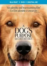 Mes vies de chien  [WEB-DL 720p] - FRENCH