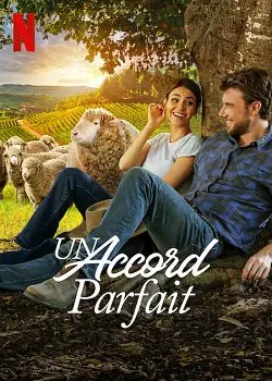 Un accord parfait  [WEB-DL 1080p] - MULTI (FRENCH)