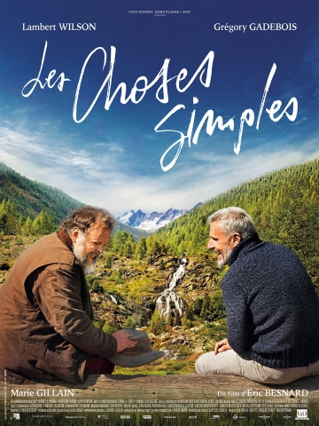 Les Choses simples  [HDRIP] - FRENCH