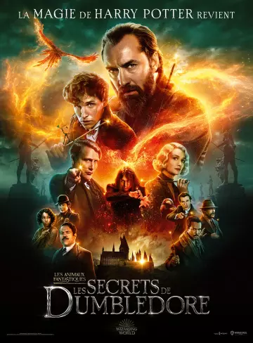 Les Animaux Fantastiques : les Secrets de Dumbledore [HDRIP] - TRUEFRENCH