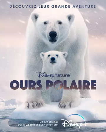 Ours Polaire  [WEB-DL 1080p] - MULTI (FRENCH)