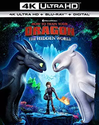 Dragons 3 : Le monde caché  [BLURAY REMUX 4K] - MULTI (FRENCH)