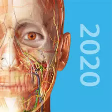 Atlas d’anatomie humaine 2020  [Applications]