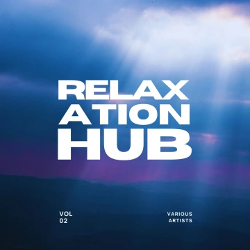 FLAC RELAXATION HUB VOL. 2 [Albums]