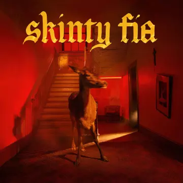 Fontaines D.C- - Skinty Fia  [Albums]